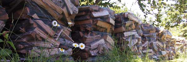 Pallets of firewood