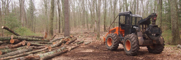 Logs being moved