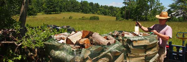 Pallets of firewood